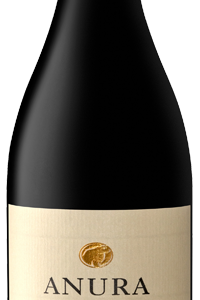 Anura Pinotage/shiraz  2016    per 6 Flessen